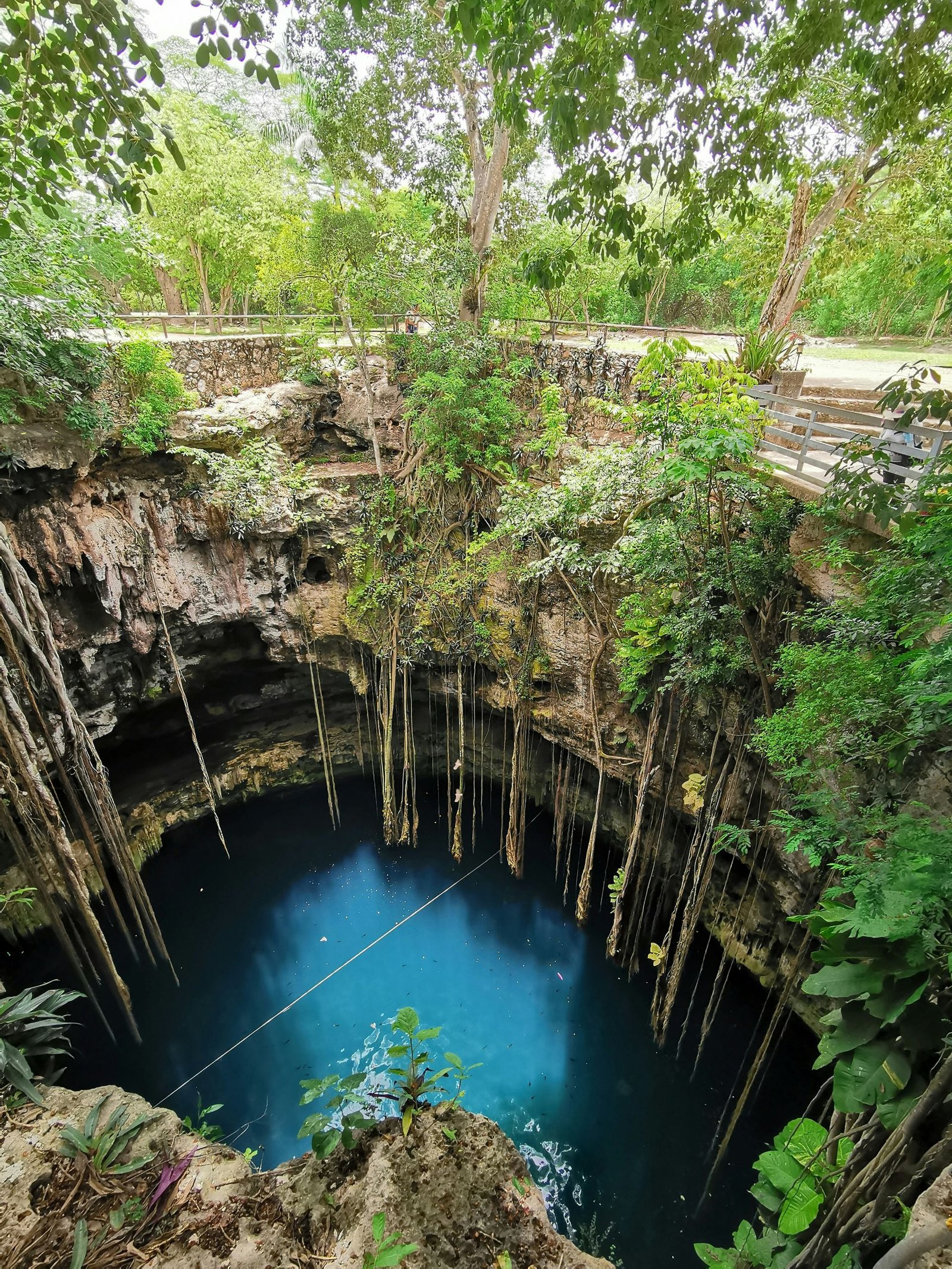 Open-air cenote, Yucatán