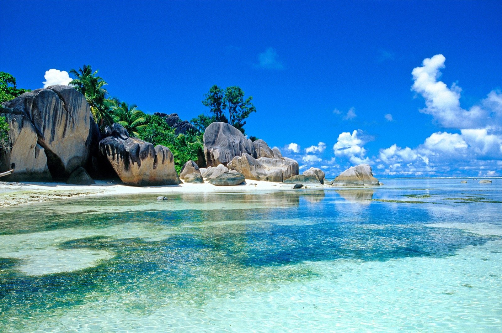 Turquoise Caribbean water and tropical shore