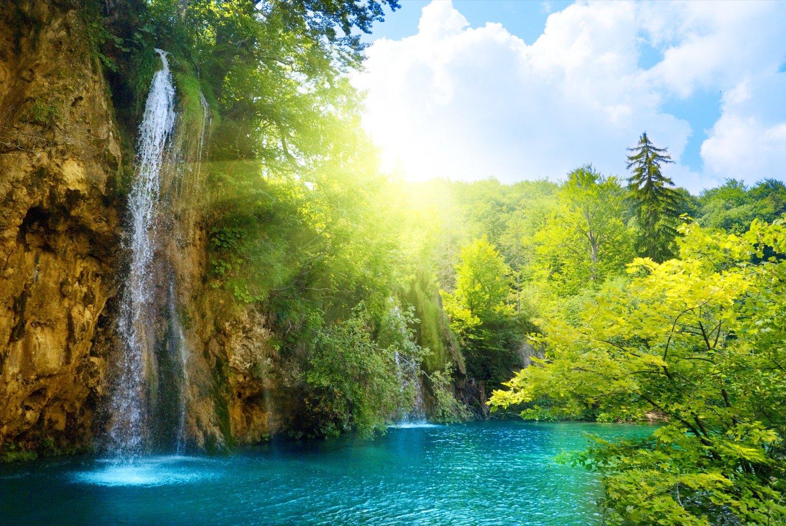 Waterfall and turquoise pool in green forest